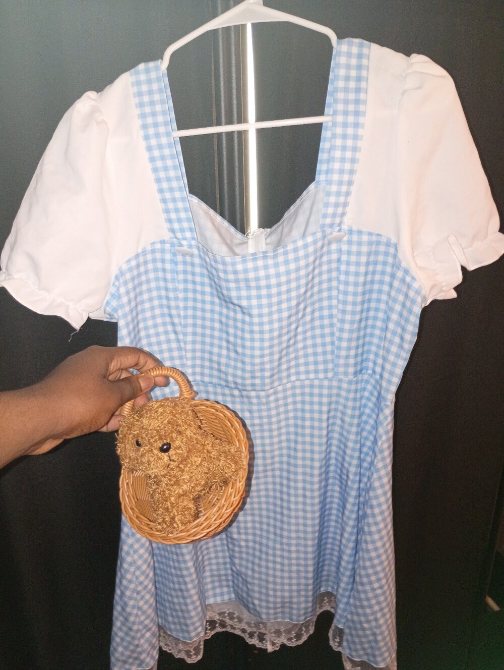 Women's Dorothy Wizard Of Oz Dress & Toto Brown Straw Basket Puppy Dog Accessory